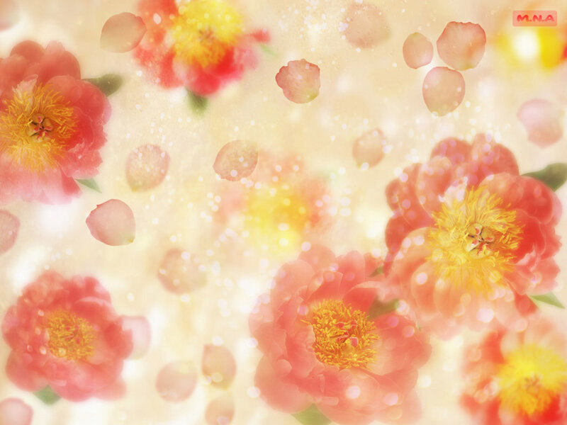 soft floral background with petals