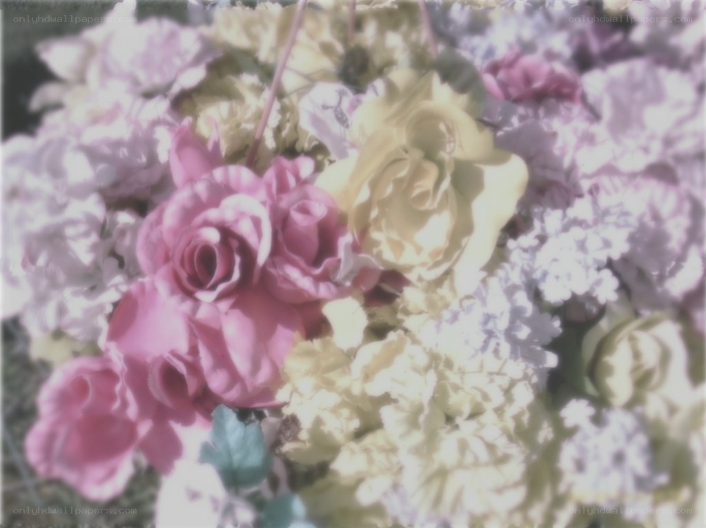 soft-focus floral arrangement