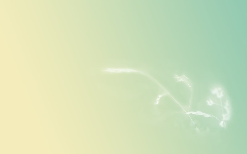 soft gradient with glowing plant