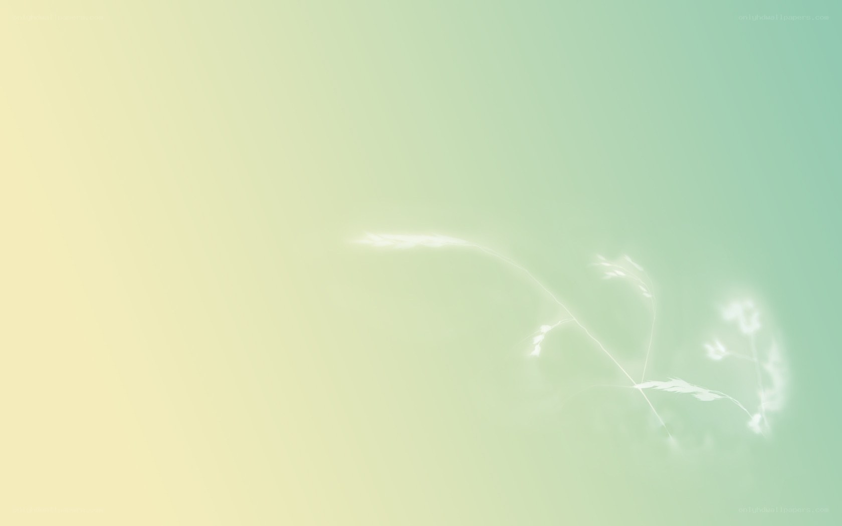 soft gradient with glowing plant