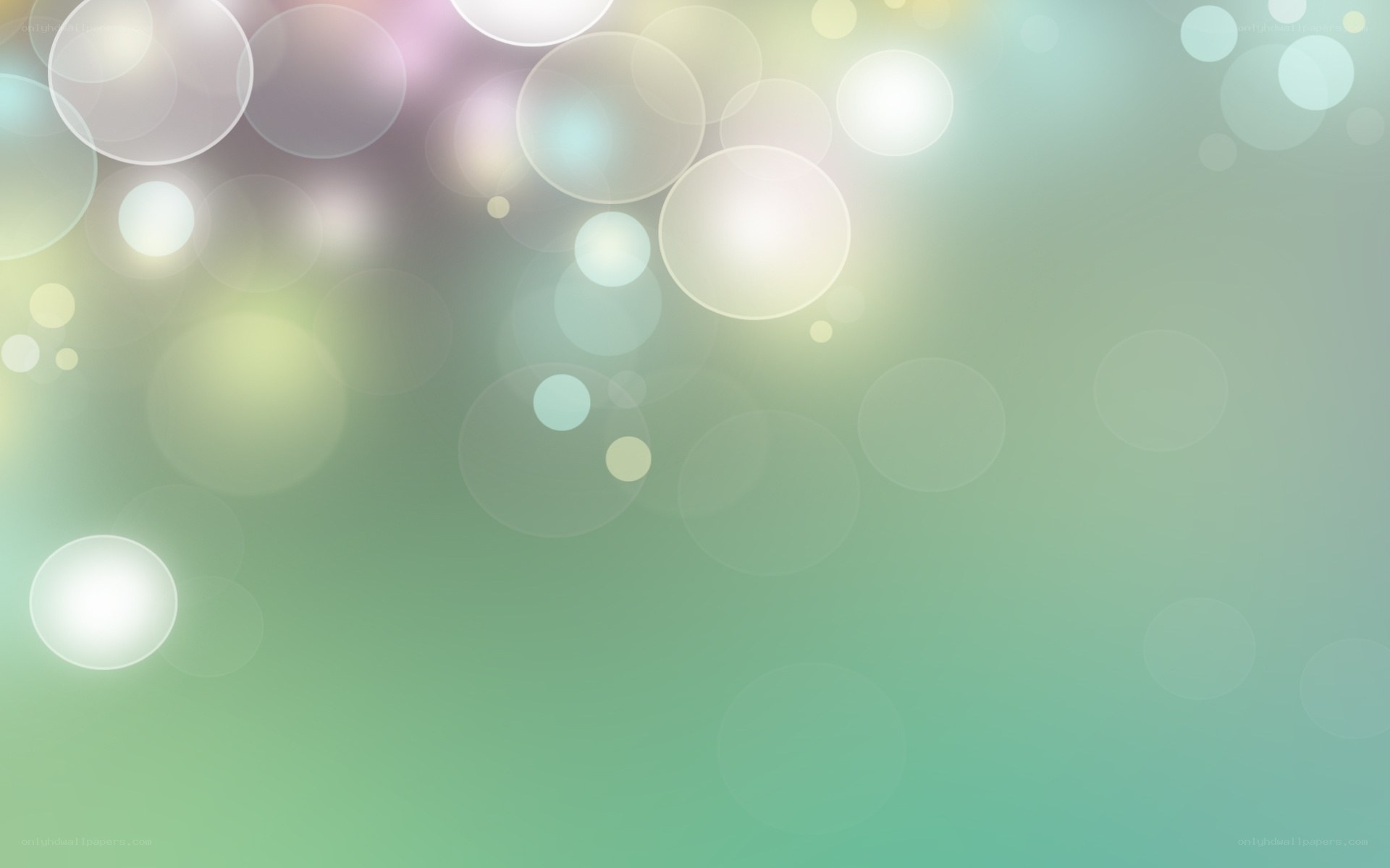 soft green bokeh background