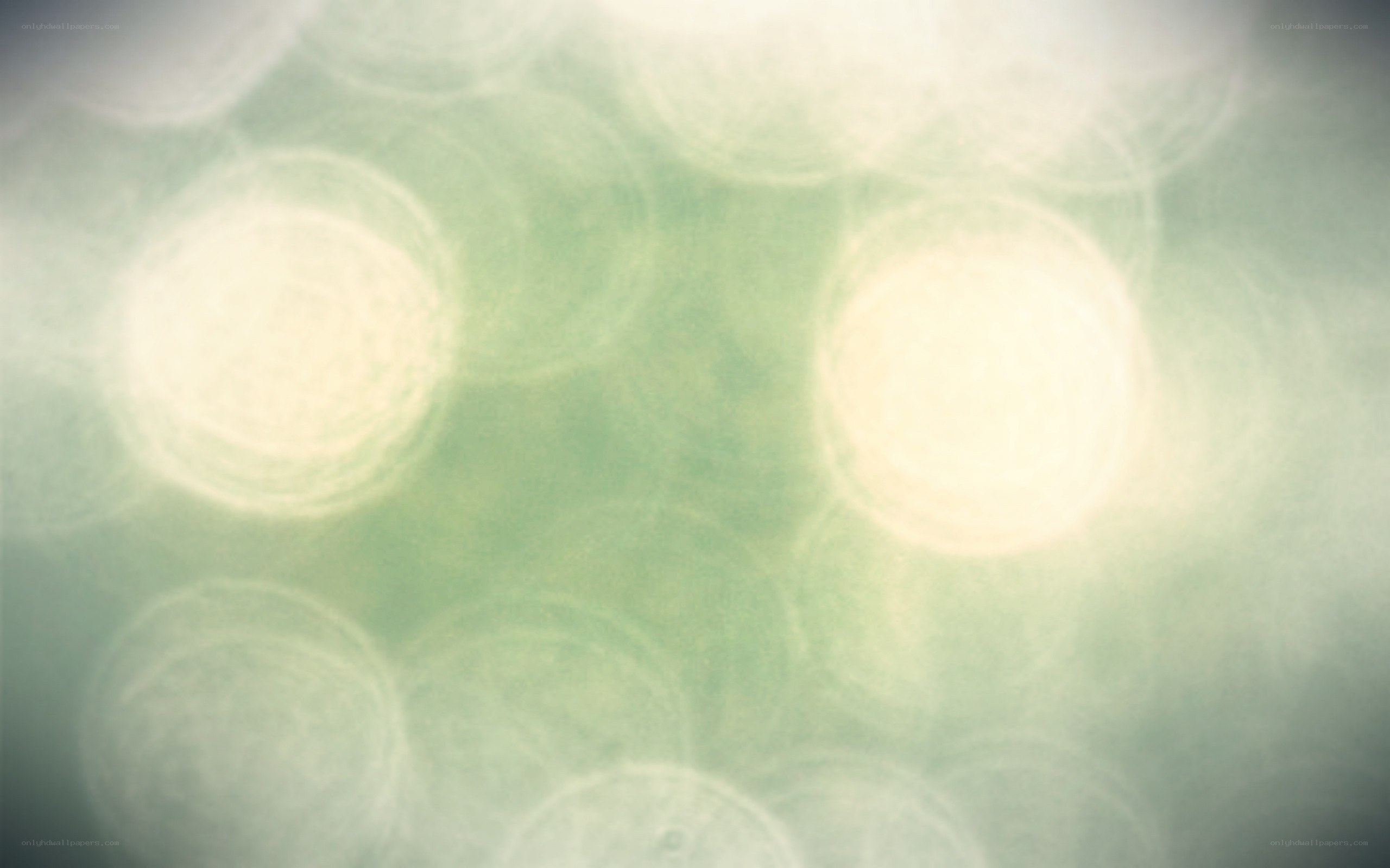 soft green bokeh lights