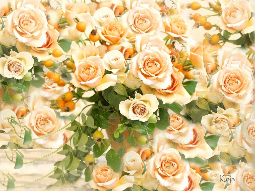 Soft peach rose bouquet