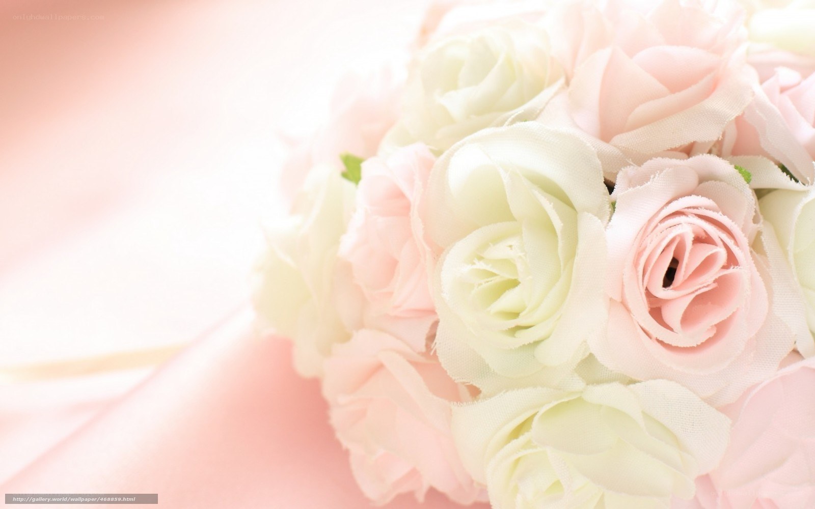 soft pink and white roses