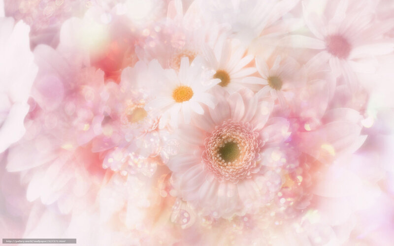 Soft pink floral bouquet