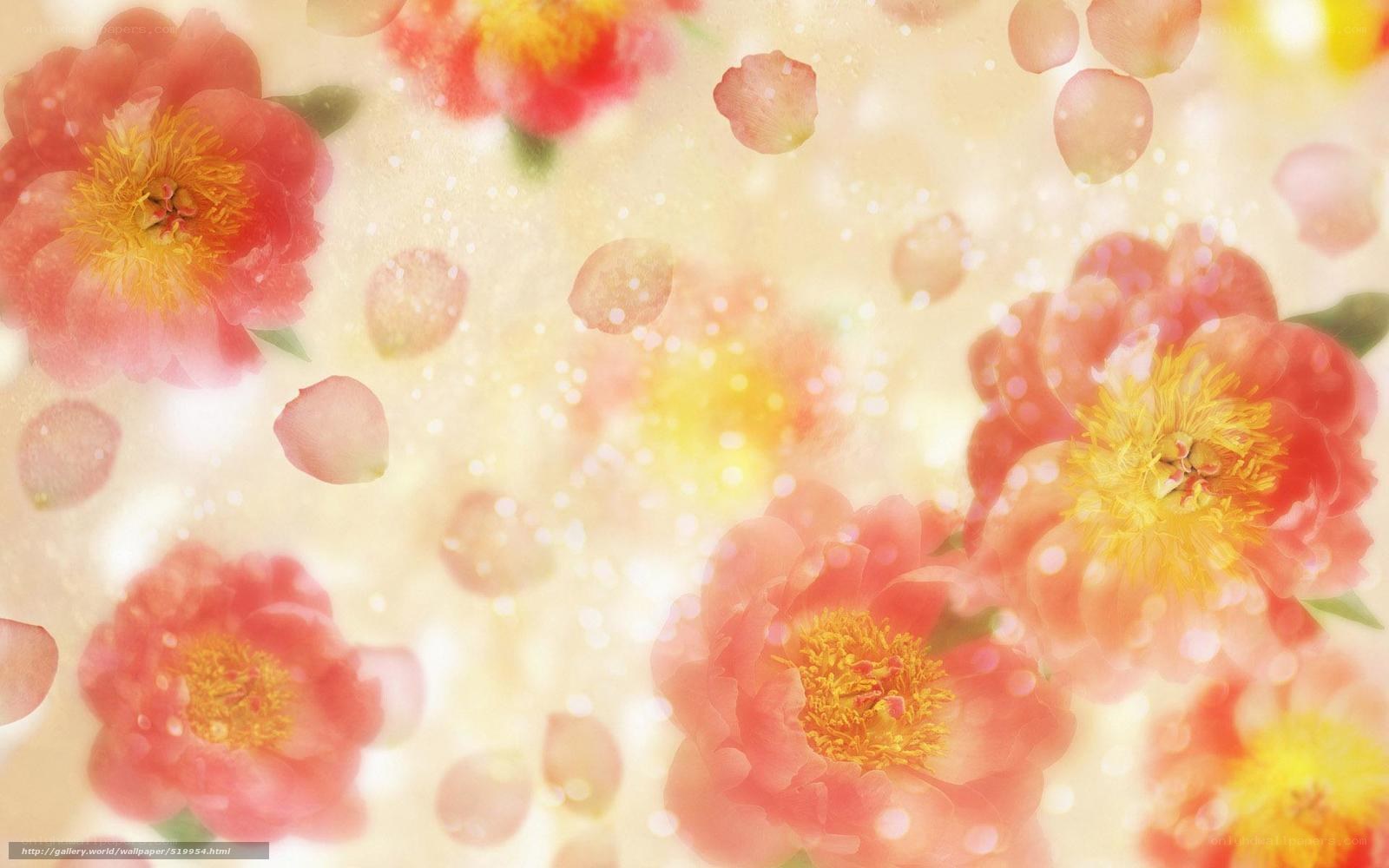 soft pink flowers with petals
