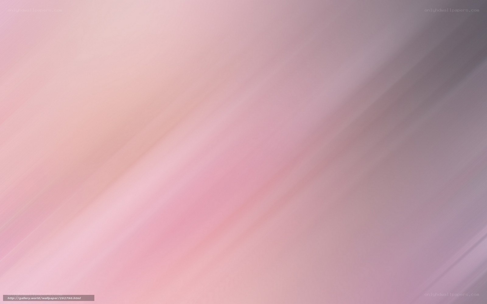 soft pink gradient background