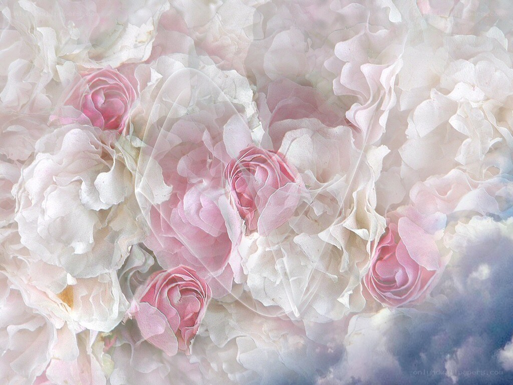 soft pink rose bouquet