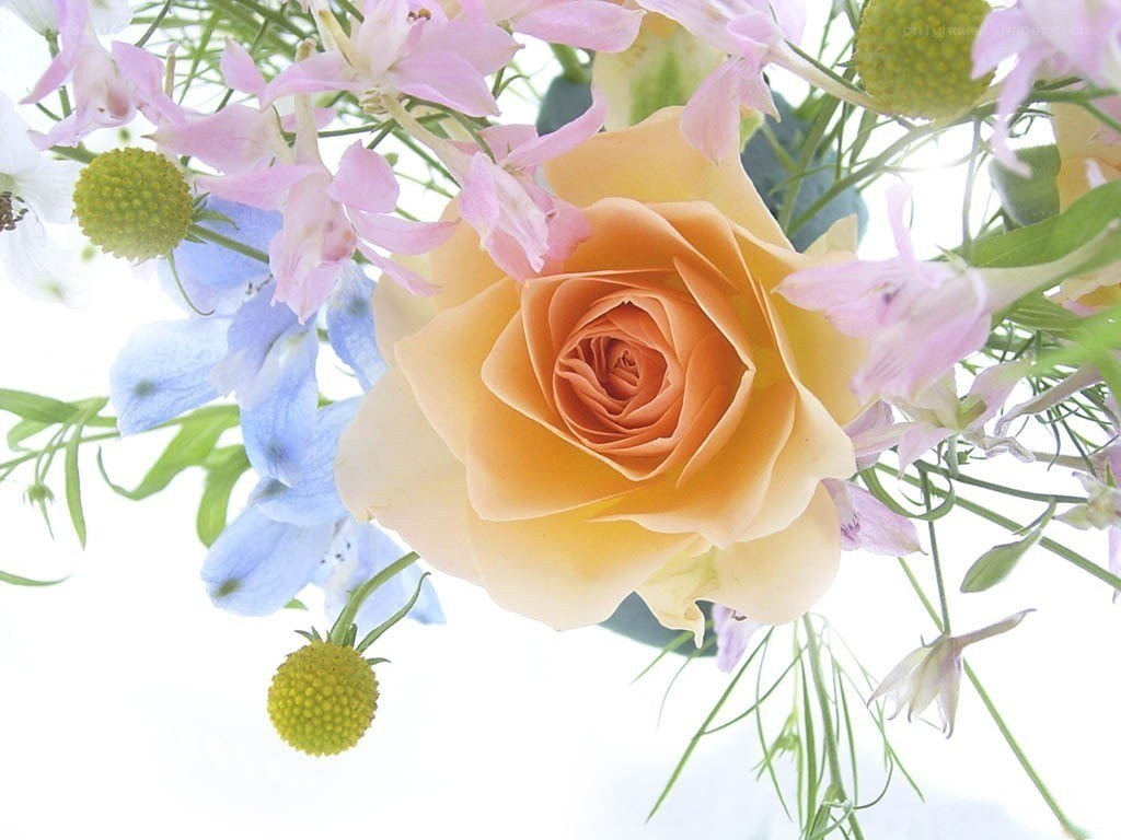 Soft rose bouquet with flowers