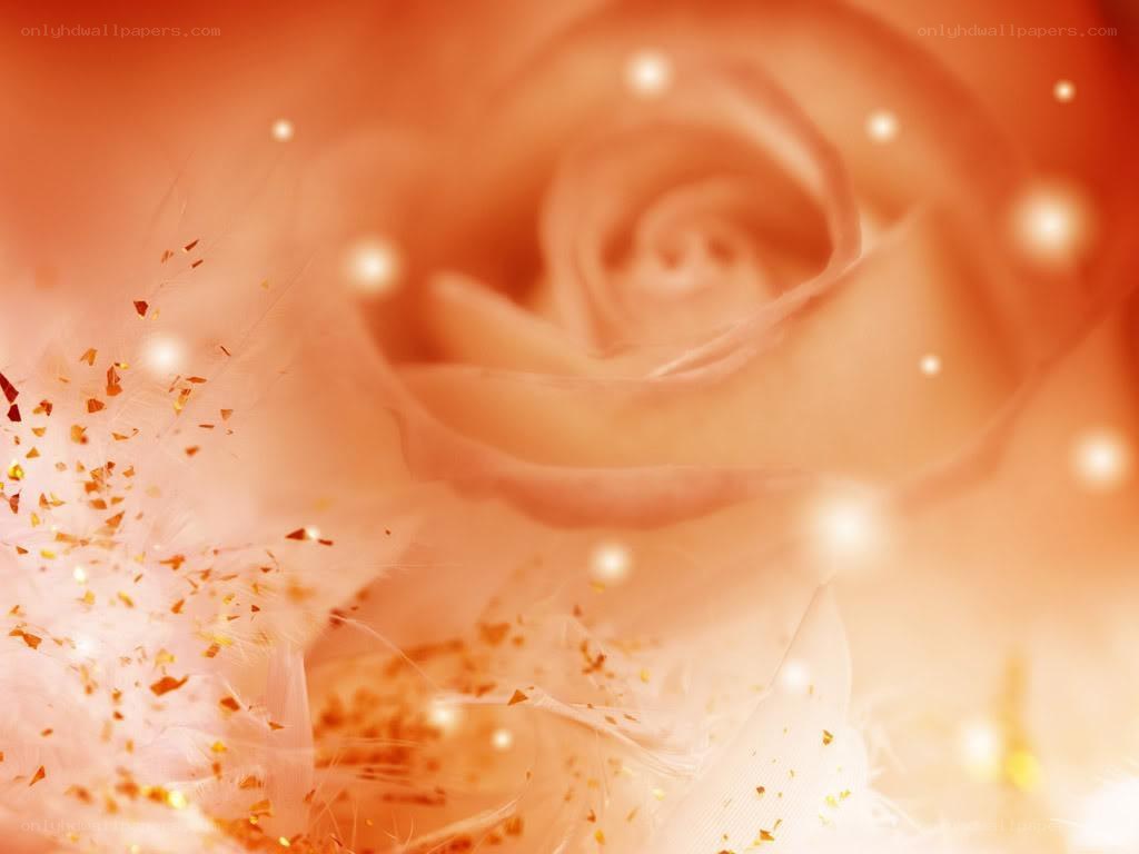 soft rose with golden sparkles