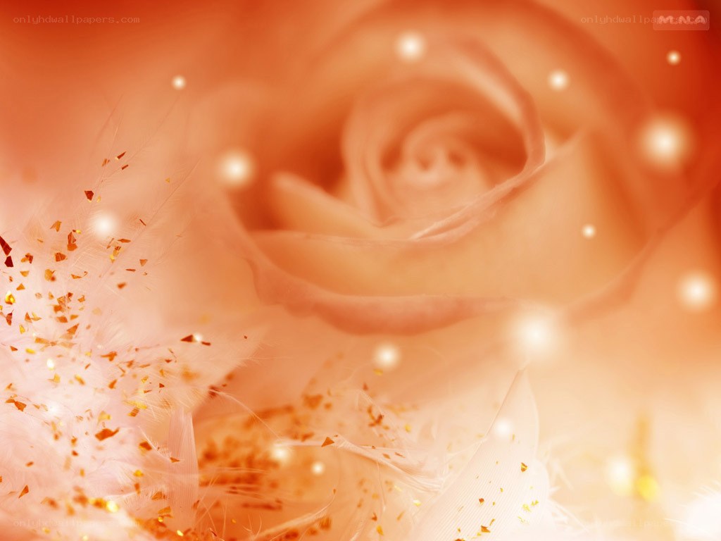 soft rose with golden sparkles