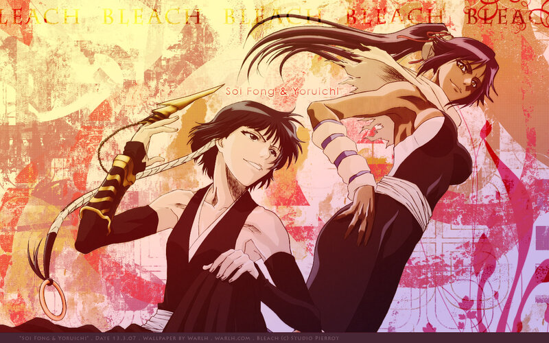Soi Fong and Yoruichi from Bleach
