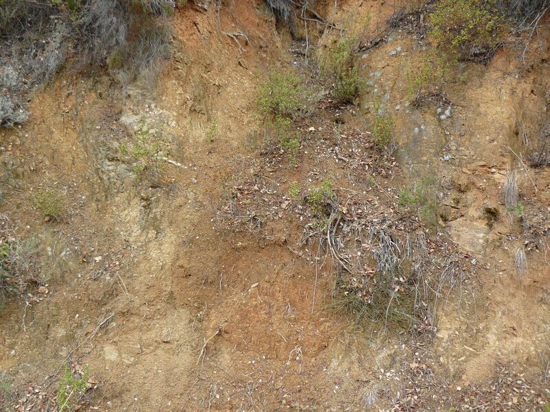 soil erosion on a hillside