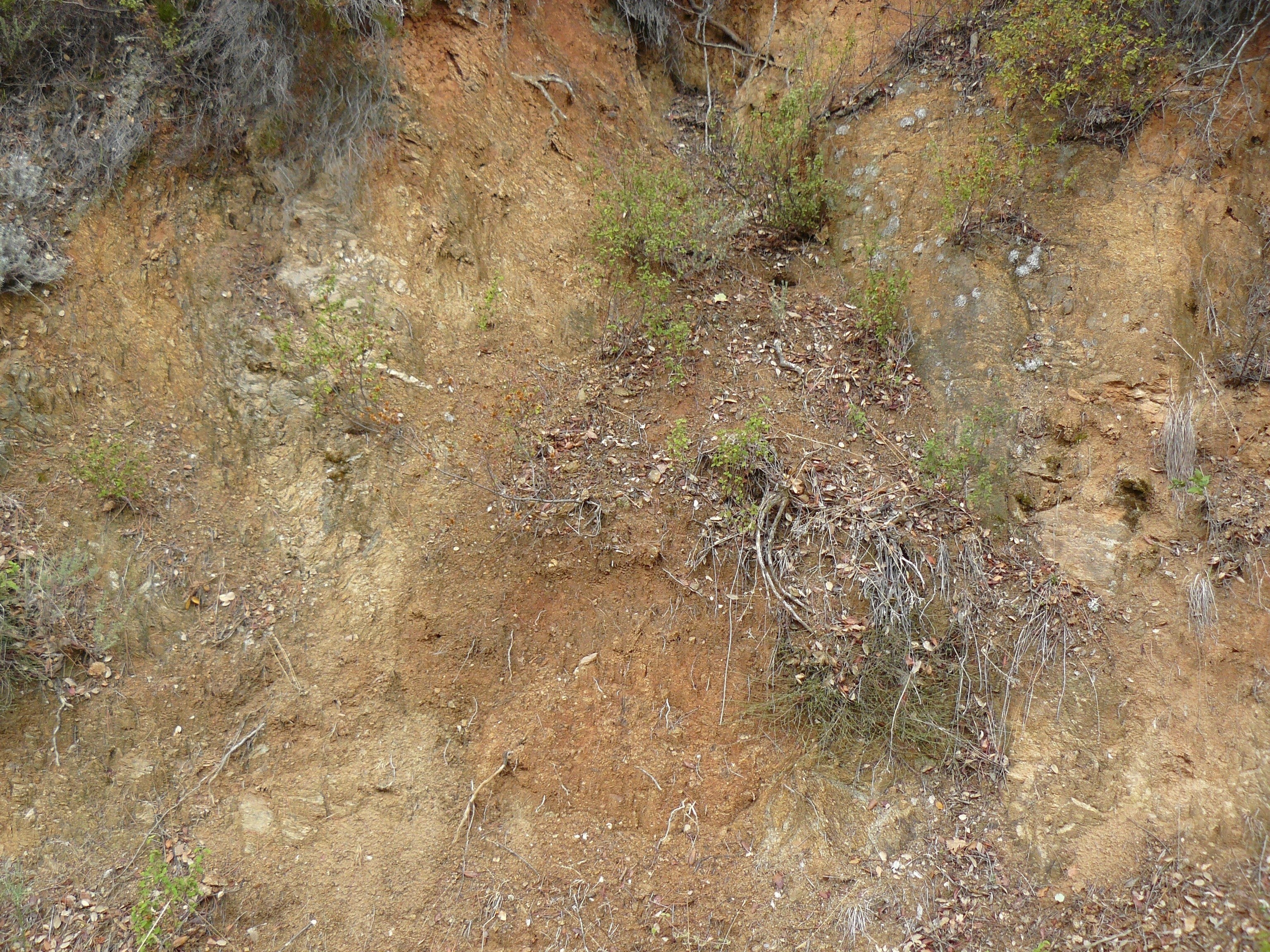 soil erosion on a hillside