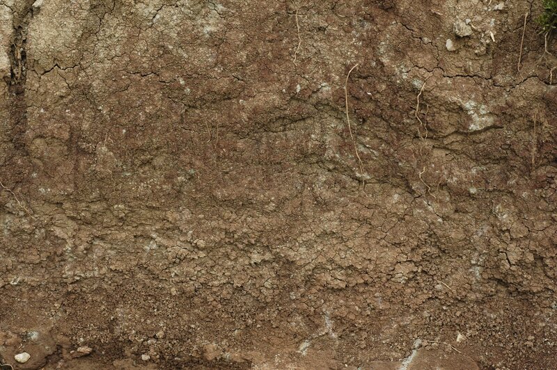 Soil Profile Wall