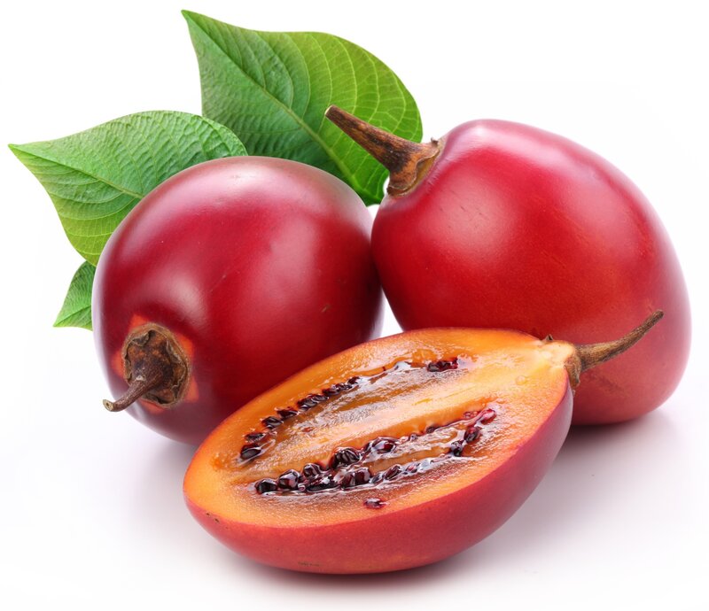 Solanum Pseudocapsicum Fruit