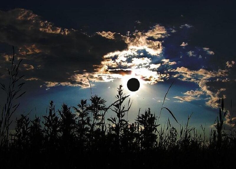 Solar eclipse over a field
