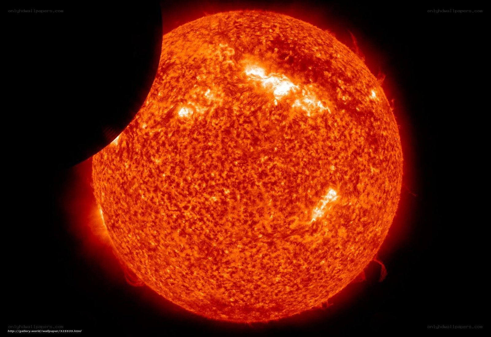 Solar Eclipse View