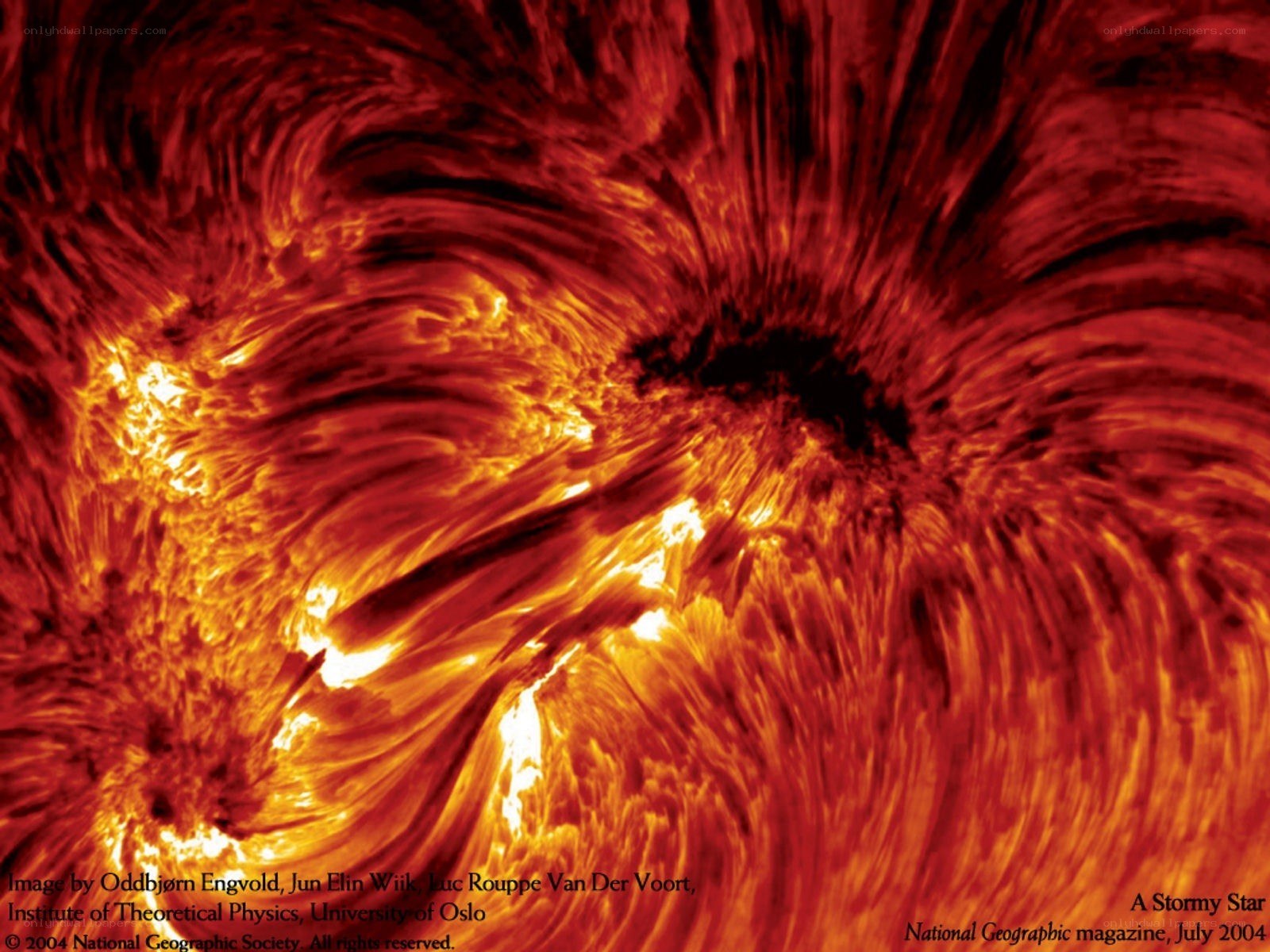 Solar Flare Activity