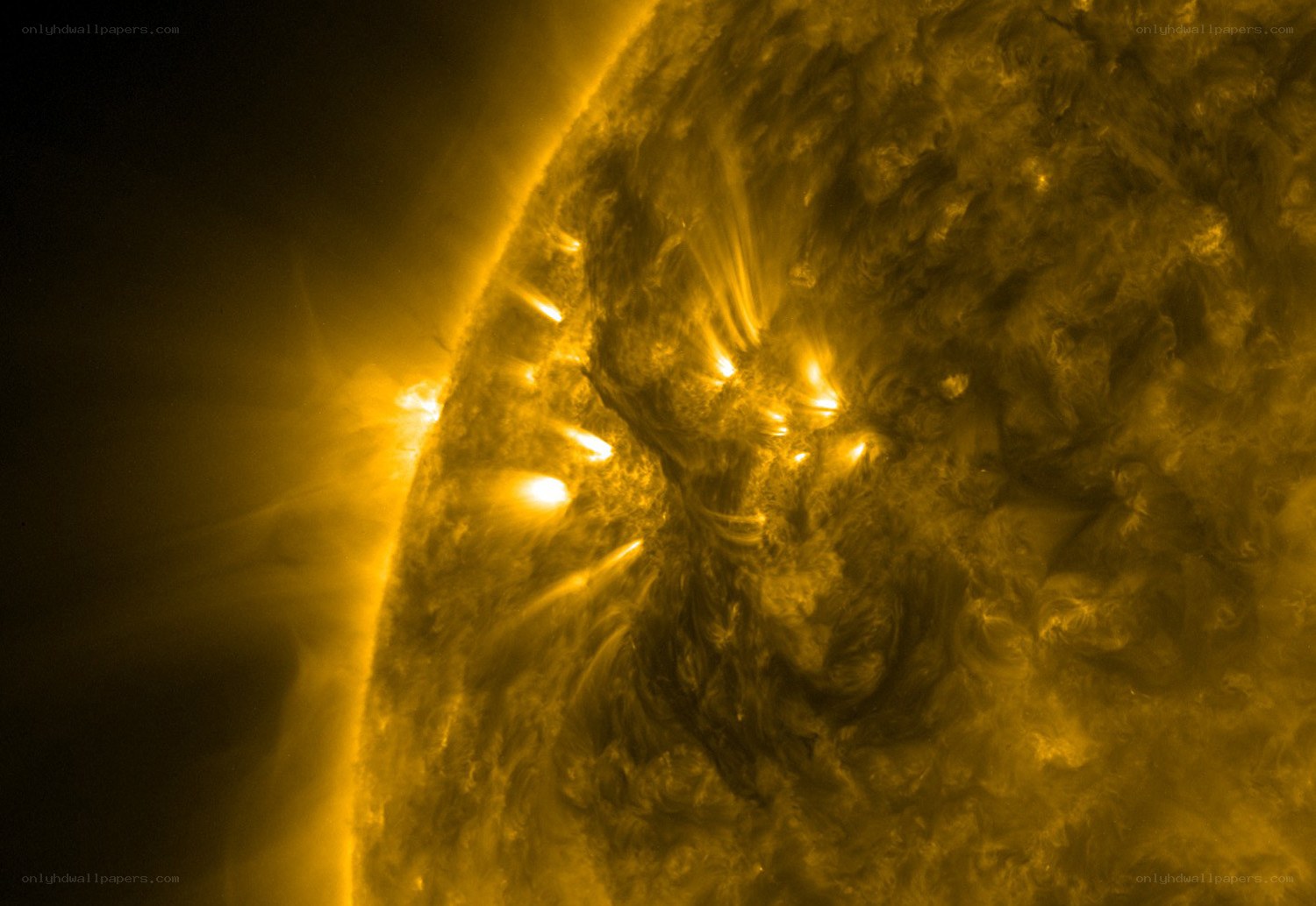 Solar flare activity