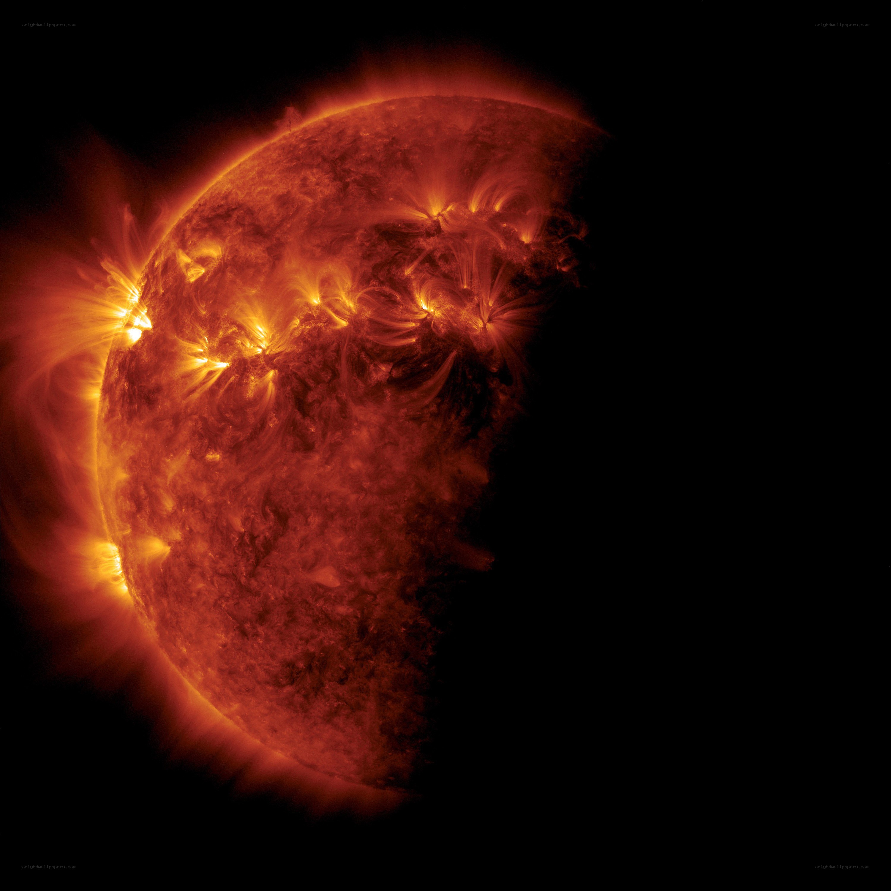 Solar flare activity on the sun