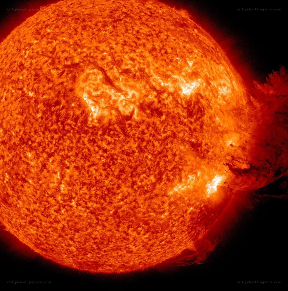 Solar flare on the Sun