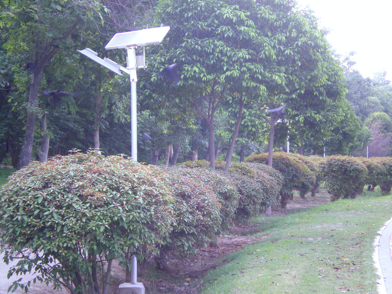 Solar lamp in a park