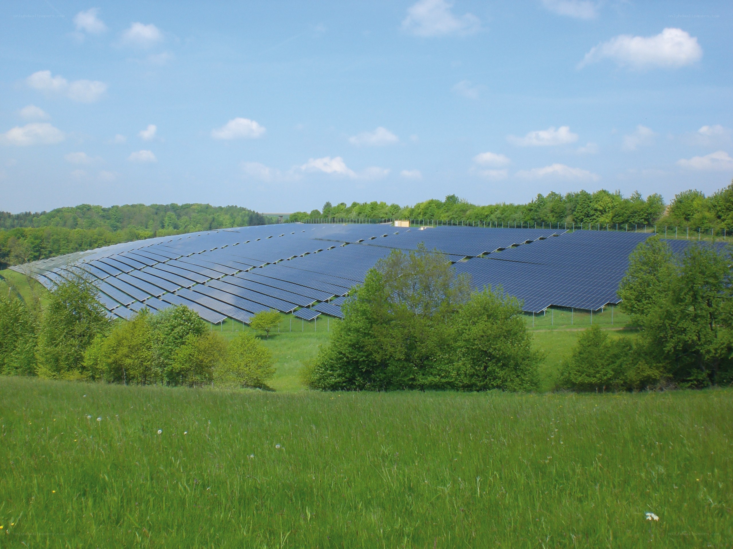 Solar panels in a green field