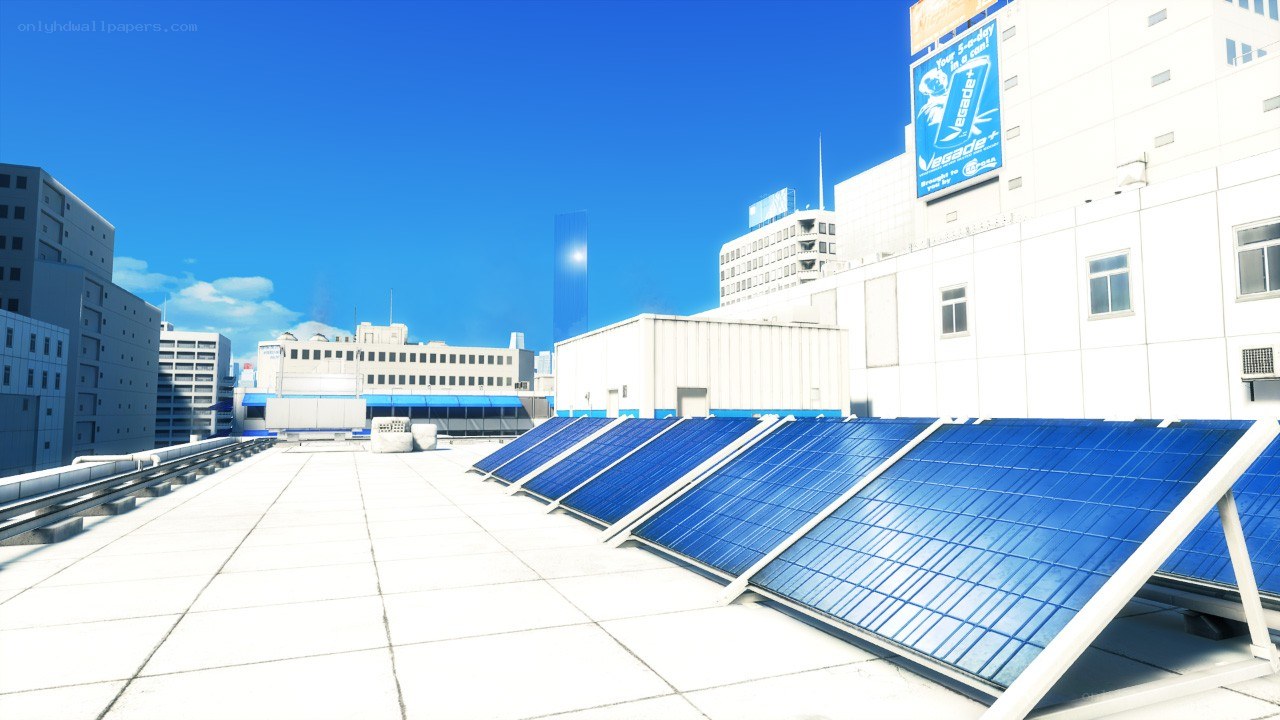 solar panels on a city rooftop