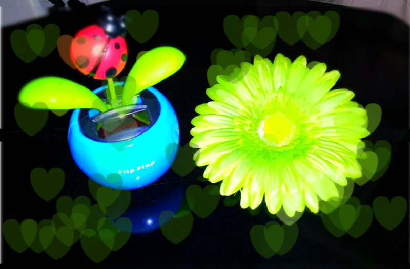 Solar-powered Ladybug Toy