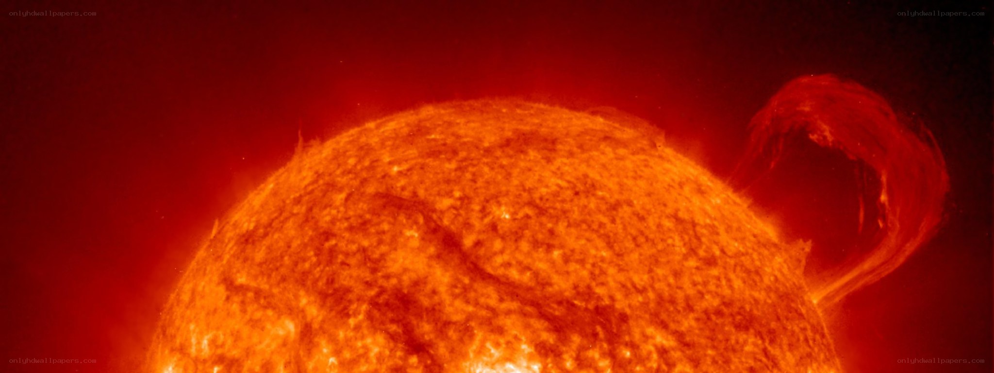 Solar prominence on the Sun
