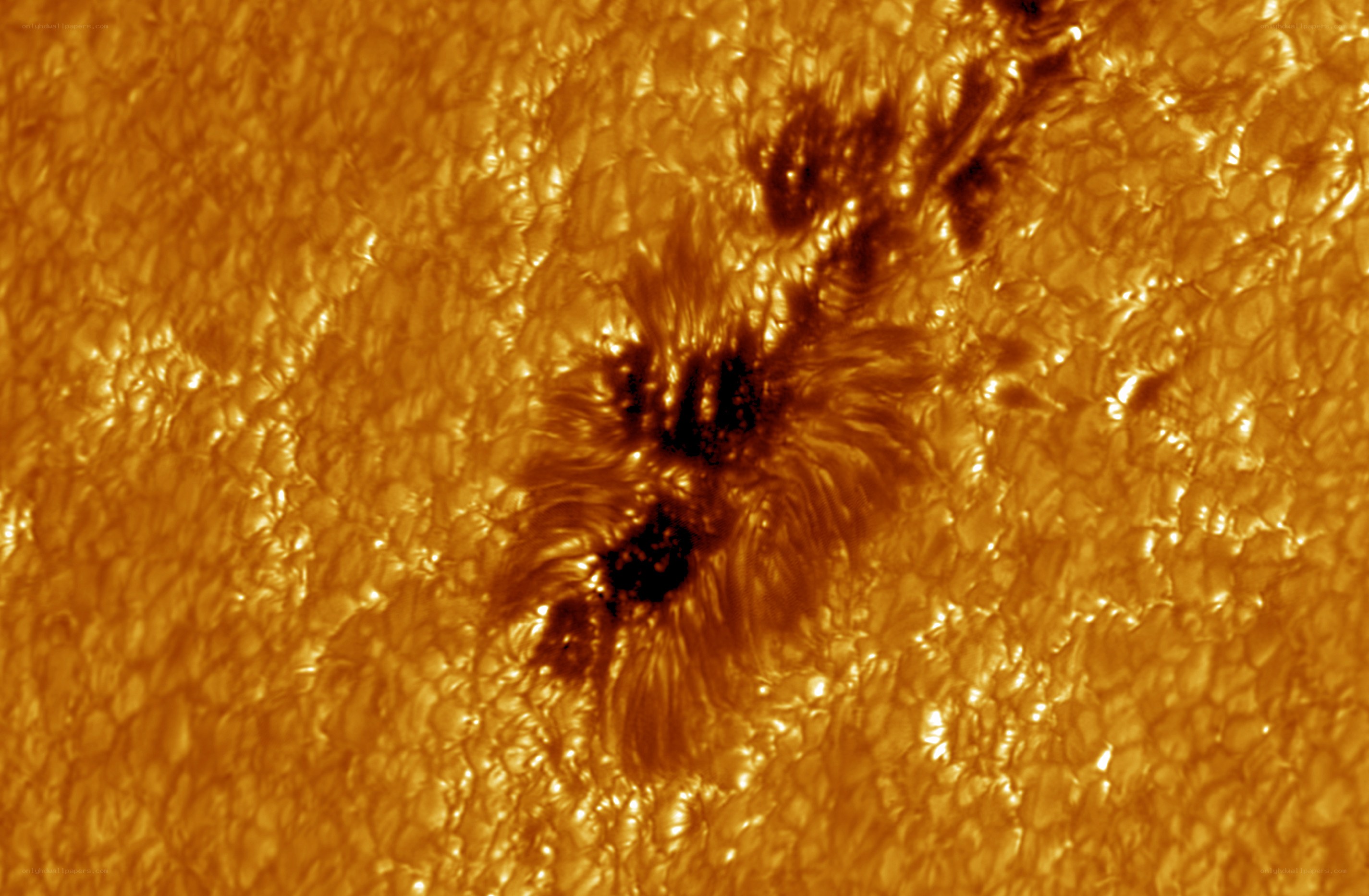 Solar prominence on the Sun