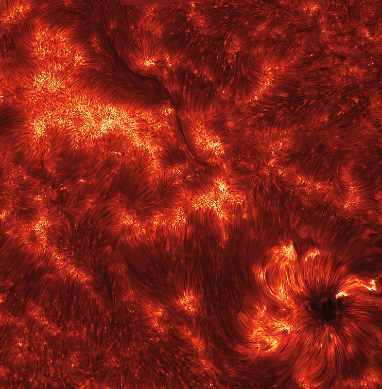 Solar Surface Activity — Red