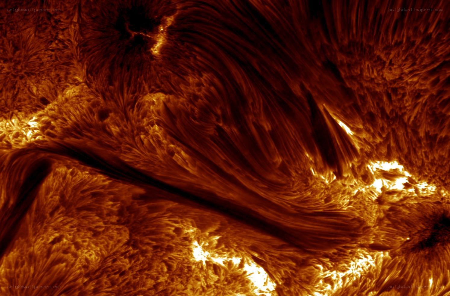 Solar surface with magnetic loops