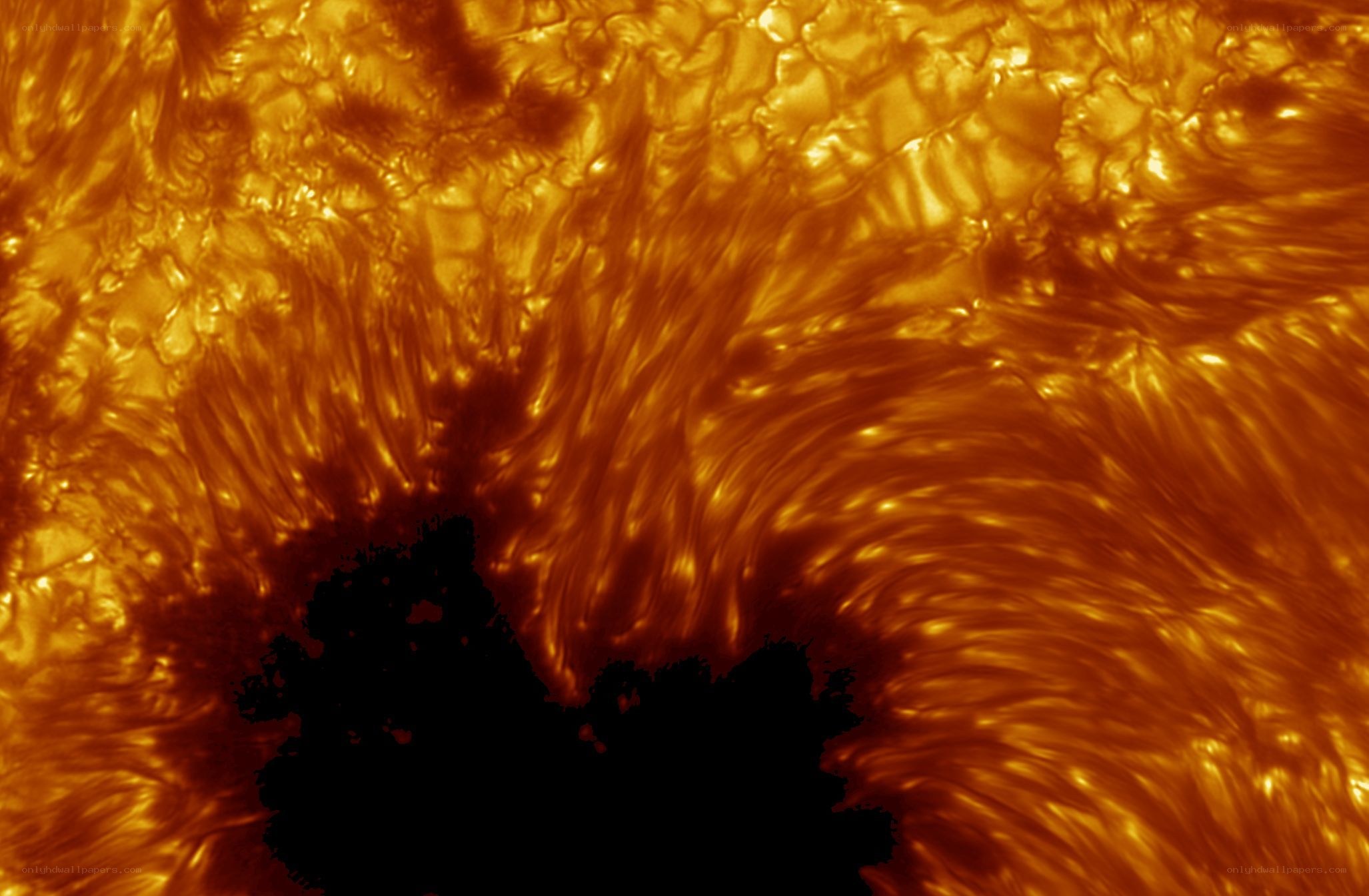 Solar surface with sunspot