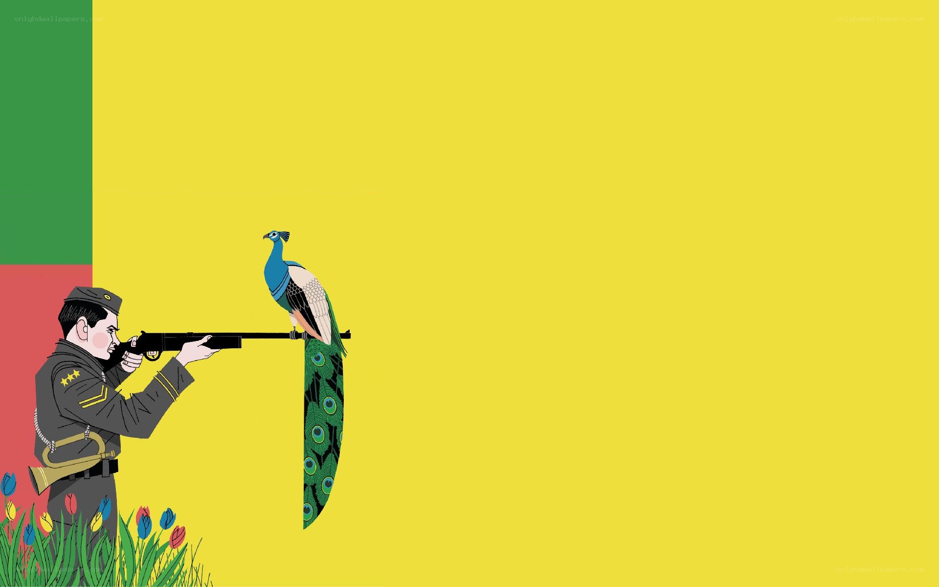 soldier aiming at a peacock