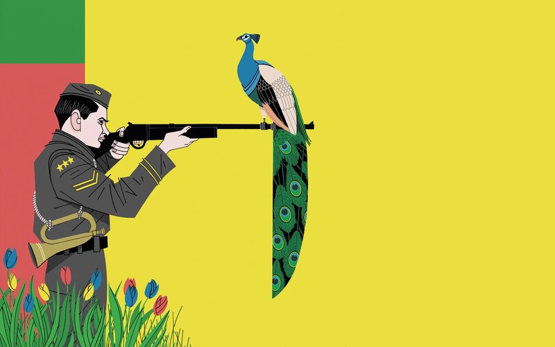 Soldier Aiming at Peacock