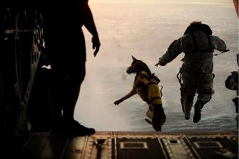 Soldier and Dog Jumping
