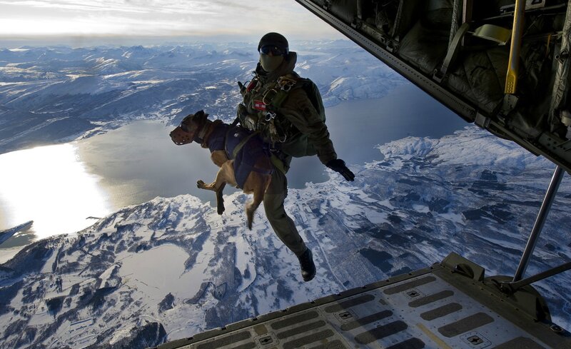 Soldier and Dog Jumping — White