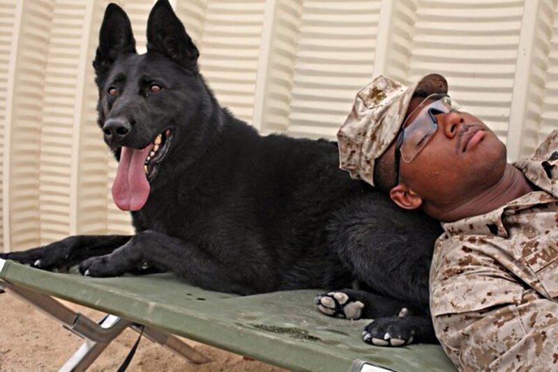 Soldier and Dog Resting