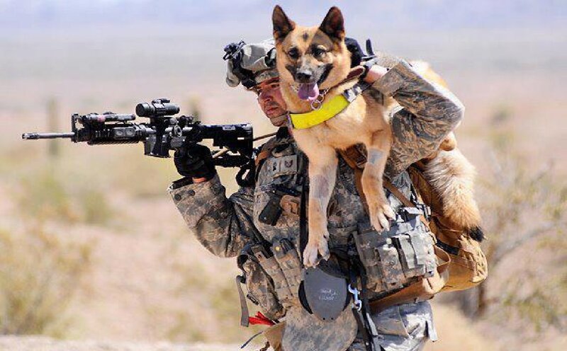 Soldier Carrying Dog