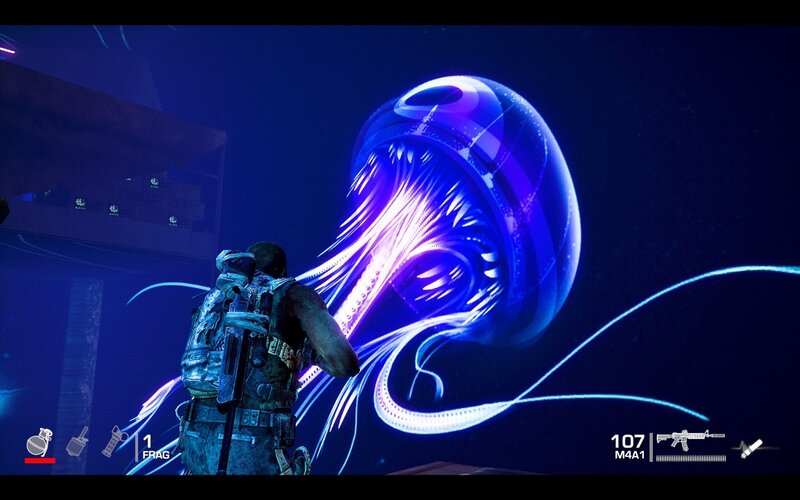 Soldier Facing Jellyfish