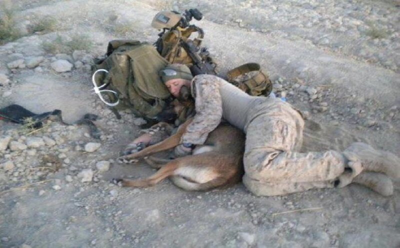 Soldier Hugging Dog