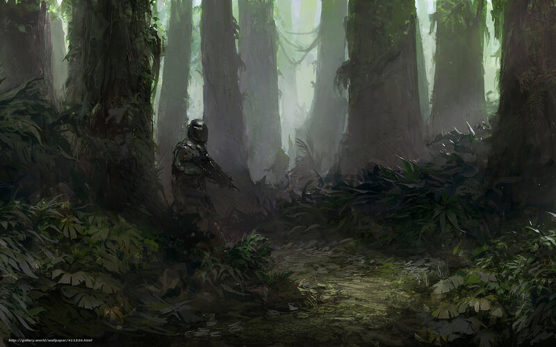 Soldier in a dense jungle