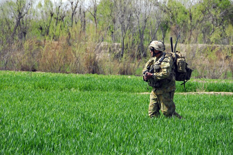 Soldier in a green field
