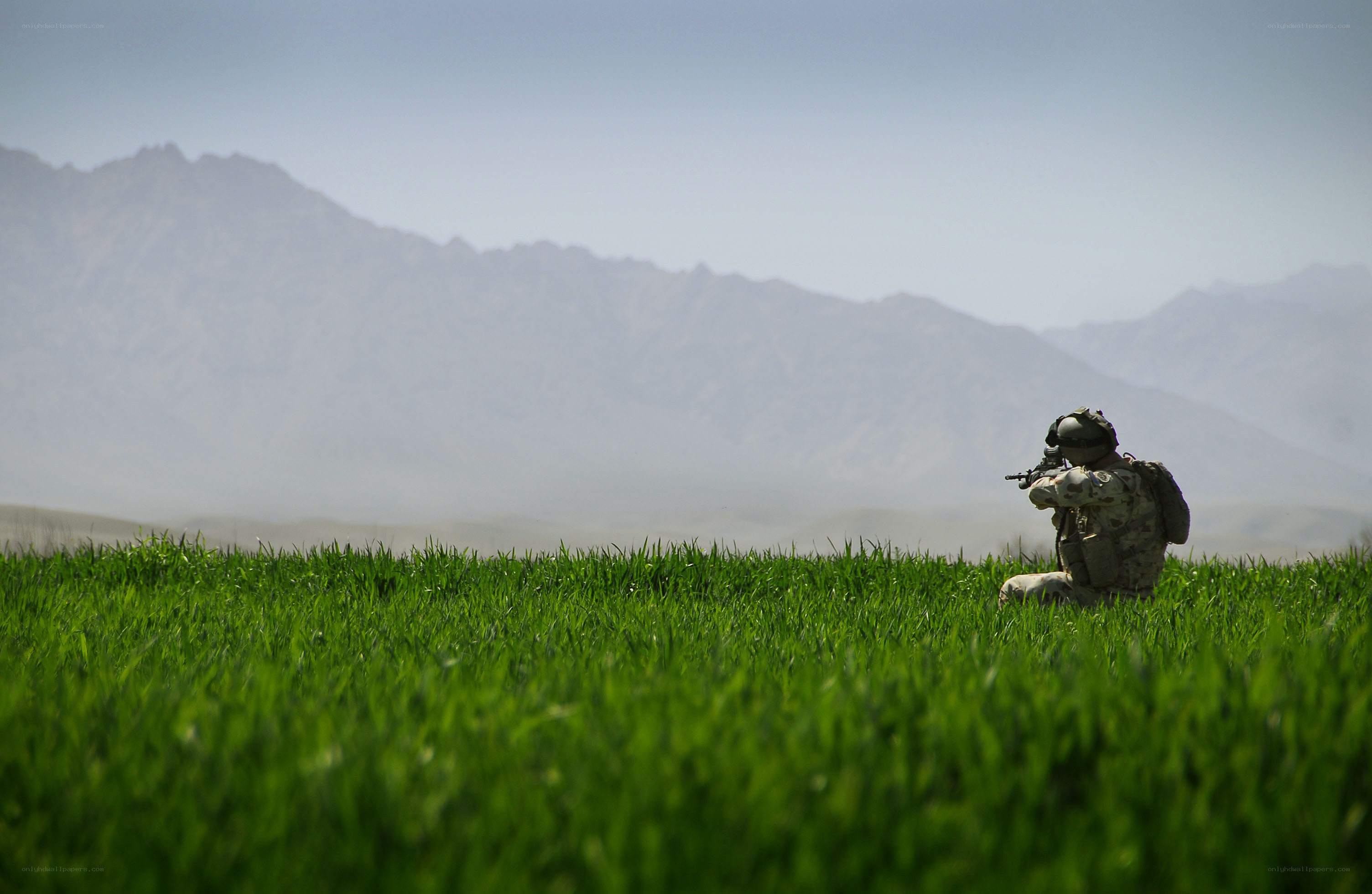 Soldier in a green field