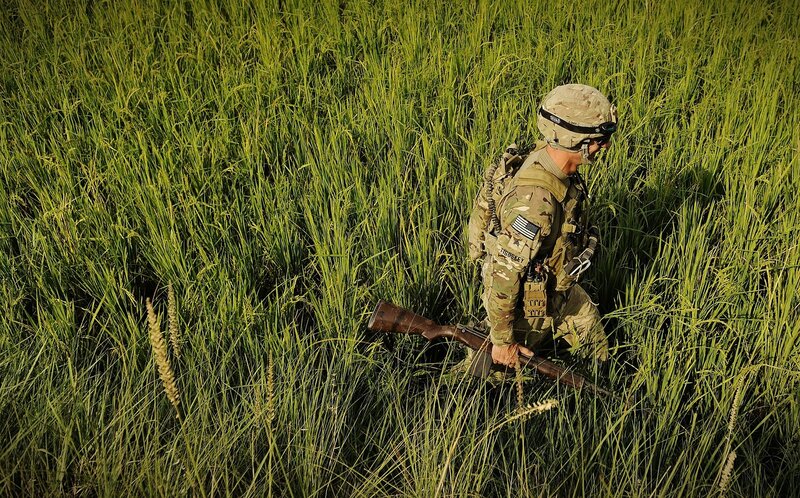 Soldier in a rice field