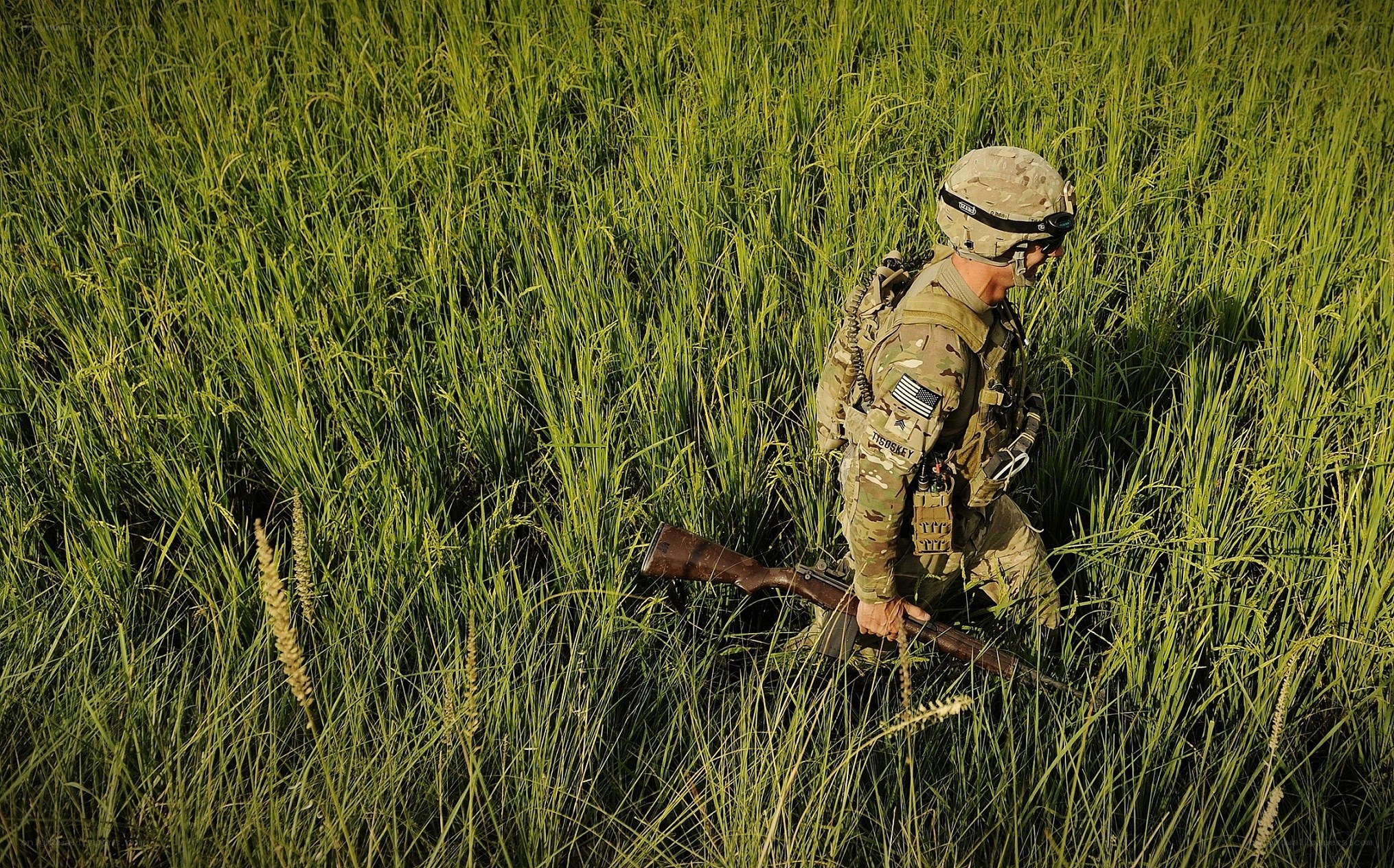 Soldier in a rice field
