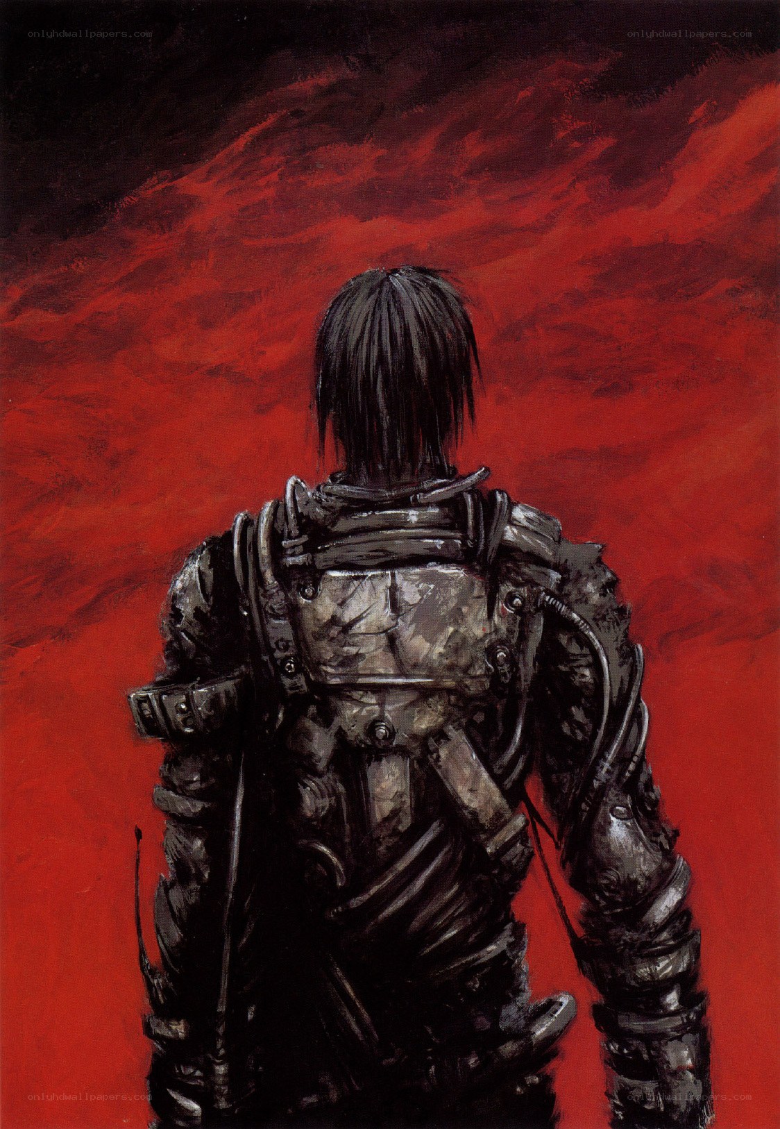 soldier in armor against red sky
