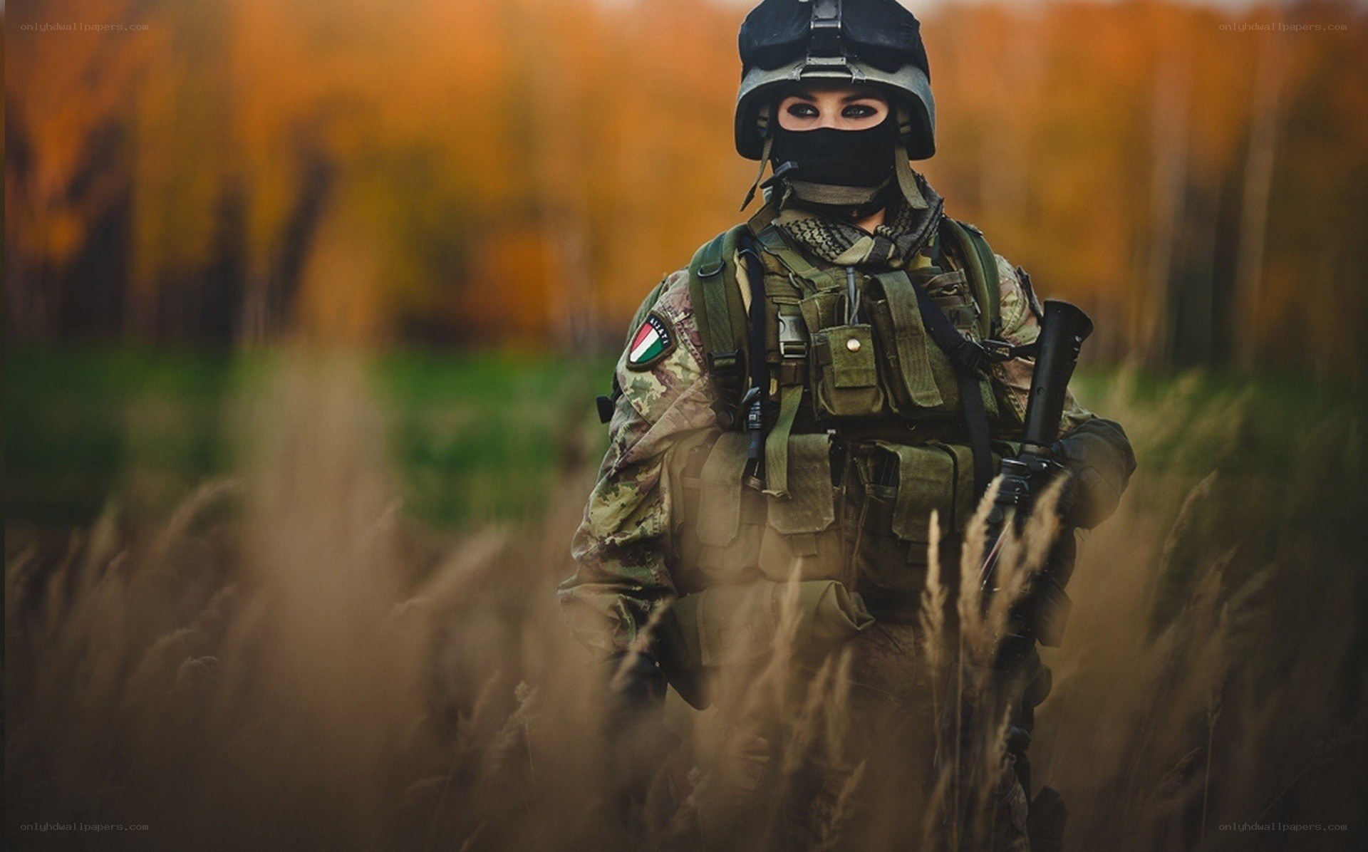 soldier in autumn field